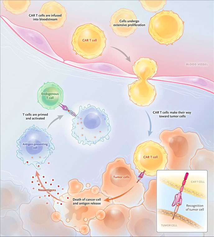 Dr. Kasys Gervatauskas